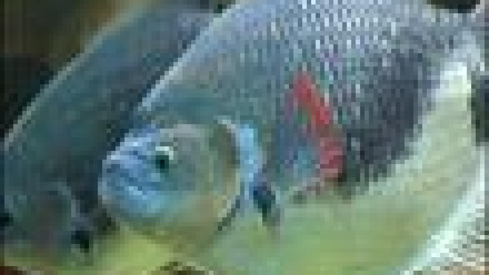Neupré : aquarium géant